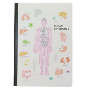 A5m[g rm[g STUDY HOLIC lސw Green Flash ~jm[g w w [։