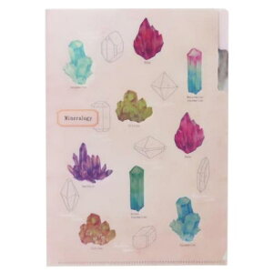A5|PbgNAt@C |Pbgt@C STUDY HOLIC zw Green Flash Vw w w [։
