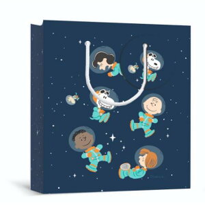 APBSN y[p[obO bsOpi Xk[s[ FS s[ibc {z[}[N 킢 [։