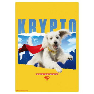 A4NAA[g{[h CeApl SUPERMAN X[p[} C DCR~bN CbN RNVG f惁[։