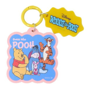 J[ANL[z_[ L[O ܂̃v[ W fBYj[ X[vlbg ANL[ [։