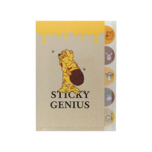 _CJbgNAt@C5P A4 |Pbgt@C ܂̃v[ t@j[tFCX fBYj[ TX^[ Vw [։