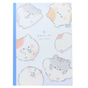 B5 m[g m[g ͂ނށ[ J~IWp Vw 킢 [։