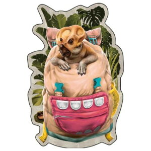 `FWOXebJ[ B rbOV[ WVbN[h ̑n  CbN RNV f惁[։