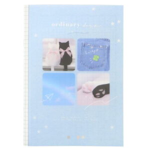 B5NAm[g5mm m[g I[fBi[fCY fj N[A Vw 킢 [։