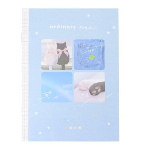 B6m[g m[g I[fBi[fCY fj N[A  w ̎q [։