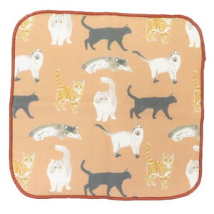 K[[^I ЖʃK[[nJ`^I ~j^I j[Lbg IW ˂ tYq FRIENDSHILL  킢 [։