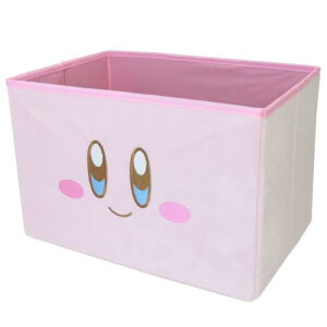 ʂ݃Xg[WBOX LTCY [{bNX ̃J[rB J[rB tFCX eB[Yt@Ng[ ᔠ [P[X