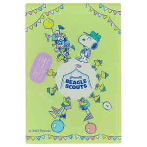 AN}Olbg  Xk[s[ BEAGLE SCOUTS egW s[ibc vۍH| ① Lb` [։