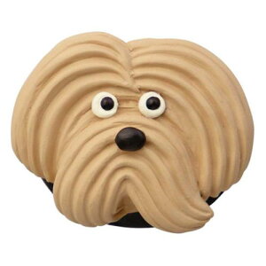 XC[c}Olbg  Maison terrie `R[g BE fR v[g 킢 [։