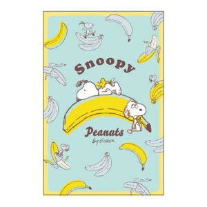 M[|` 3Zbg ۂ Xk[s[ oii s[ibc TX^[ N q  [։