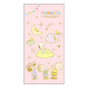 Dp|` 2Zbg ۂ Xk[s[ sN s[ibc TX^[ N q  [։