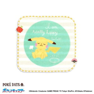 ^InJ` ~j^I |PbgX^[ nbs[t[Y sJ`E O[ |P ^Ip v[g 킢 [։