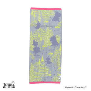 ttB[RbgK[[pCtFCX^I O^I [~ 蓹 XitL O[ k ^Ip v[g 킢 [։