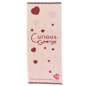 WK[hO^I I[KjbNRbg tFCX^I ̃W[W EBYn[g  V G{[։