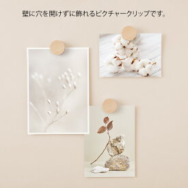 ミドリ ピクチャークリップ グレー / ナチュラル 木製 みどり 木のピクチャークリップ デザインフィル 3個入り セット 壁に穴を開けない 写真 インスタ映え 飾る インテリア MIDORI 賃貸 便利 マンション メール便可