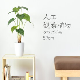 【レビュー特典あり】 人工観葉植物 光触媒 クワズイモ57cm 水やり不要 高さ57 インテリアグリーン 観葉植物 造花クワズイモ57cm 送料無料