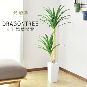 lHϗtA sv i 񂽂ݒu tFCNO[ tFCNvg p t u ϗtA c[  G} 5  sv CeA  j 