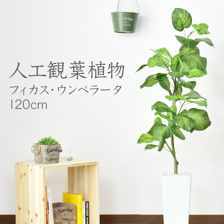 楽天市場 人工観葉植物 光触媒 フィカス ウンベラータ 水やり不要 高さ1 インテリアグリーン 観葉植物 造花フィカス ウンベラータ 送料無料 Velle
