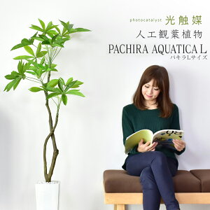 yN[|20%off 2600`26z lHϗtA sv i 񂽂ݒu tFCNO[ tFCNvg p t u ϗtA pL  G} 5  s