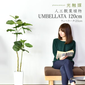 人工観葉植物 フェイクグリーン ウンベラータ 鉢付き 光触媒 完成品 お手入れ不要 かんたん設置 室内用 造花 水やり不要 インテリア 北欧 モダン おしゃれ お祝い 誕生日 結婚 出産内祝い お