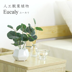 lHϗtA sv i 񂽂ݒu tFCNO[ tFCNvg p t u [J  G} sv CeA j a oYj 