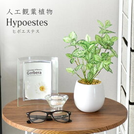 【15％OFFクーポン 4/25 0時～24時】 人工観葉植物 フェイクグリーン 観葉植物 ヒポエステス 造花 光触媒 鉢 水やり不要 インテリア お祝い 誕生日 出産内祝い お返し 結婚 父 母 お祝い お礼 贈り物 プレゼント ヒポエステス