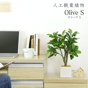 lHϗtA sv i 񂽂ݒu tFCNO[ p t u I[u  G}  sv CeA j a oYj Ԃ    j