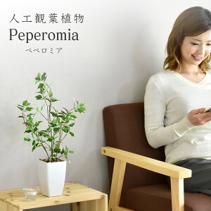 lHϗtA sv i 񂽂ݒu tFCNO[ tFCNvg p t u ϗtA yy~A  G} sv CeA j a j