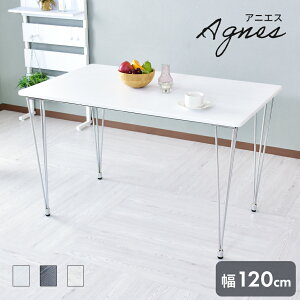 _CjOe[u 120cm Z~bN Z~bN    _CjO \t@[ e[u rOe[u p\RfXN fXN wK He[u k l炵 AjGX