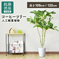 人工観葉植物 お手入れ不要 完成品 かんたん設置 フェイクグリーン フェイクプラント 室内用 鉢付き 置く…