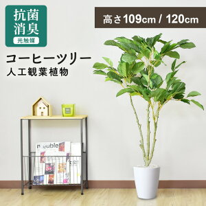 観葉植物 人工観葉植物 コーヒーの木」の人気商品一覧・価格比較 光触媒人工観葉植物フェイクグリーンコーヒー コアッド(本体のみ) 200