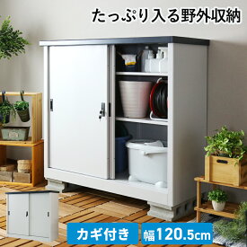 屋外 物置 スチール物置 収納庫 ガーデニング用品 物置き ガーデン 庭 ベランダ 収納 ガレージ 屋外収納庫 ガーデン収納庫 屋外物置 カギ付き 鍵付き 倉庫 雨よけ倉庫 野外収納庫 ガレージ マクラウドW120 ドリス 送料無料