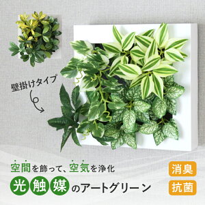 【クーポン10%off 25日00時-26日24時】 壁掛け フェイクグリーン 鉢付き 室内用 光触媒 抗菌 消臭 ウォールグリーン 人工観葉植物 お手入れ不要 かんたん設置 インテリア おしゃれ オフィス リビ