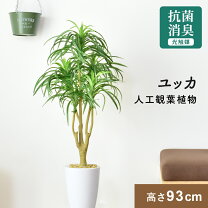 楽天市場】人工観葉植物（種類（植物）ユッカ）（造花・人工観葉植物 