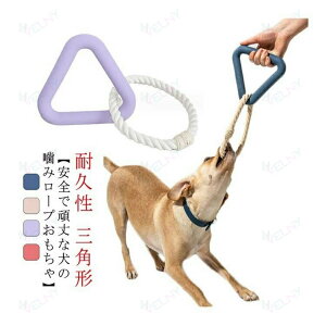 �� �������� ���[�v ��� �O�p�` �������� ���p�ߋ� �X�g���X���� �^���s������ ������ ��v �ϋv�� ���^�� ���^�� ��^���ɓK�p ���� ���p�ߋ� �y�b�g�p�m��ߋ�