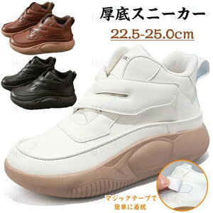 ����X�j�[�J�[ ���f�B�[�X �O������ �C ���f�B�[�X ����X���b�|�� �E�H�[�L���O�V���[�Y �_�C�G�b�g�V���[�Y ����C �y�� ���r �g���A�b�v �����₷�� ����~�� �ʋC �J�W���A�� �V���[�Y