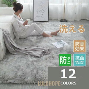 ���O �J�[�y�b�g �􂦂� 2�� 3�� ���O�}�b�g �O�~ ���� �k���� �������40*60 160×230 �V���M�[���O �t �� �H�~ �h�_�j ����~�ߕt �z�b�g�J�[�y�b�g �J�o�[