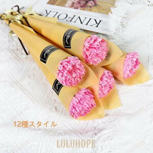 ԑ AWg Mtg v`Mtg o \[vt[ Ό v[g zCgf[ ̓ NX}X  10{Zbg