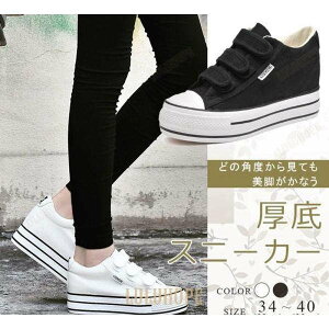 �X�j�[�J�[ ���f�B�[�X �L�����p�X �V���v�� �}�W�b�N�e�[�v ���� �C���q�[�� �����₷�� �ʊw �ʋ� ���r �J�W���A�� �傫���T�C�Y �� ��