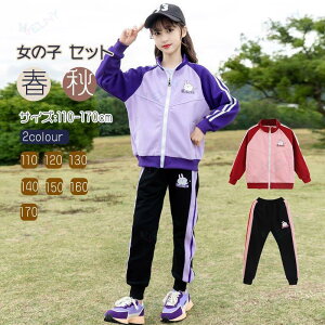 ���̎q �Z�b�g�A�b�v �H �W���[�W �㉺�Z�b�g ���W���[ �L�b�Y ���̎q �X�|�[�c�E�F�A �X�|�[�c�W���P�b�g �X�E�F�b�g�p���c �t �H ���i�� �^����