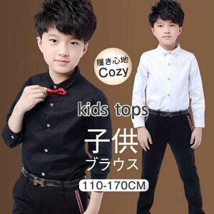 �q���� �u���E�X �V���c �j�̎q ���w�� ���� �t�H�[�}�� ���\�� ������ ���w�Z ���w�� ���Ǝ� ���� ���Z�� �V���c�u���E�X �W���j�A �q�ǂ�