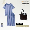 【SS期間中P10倍】ベネクス 20th数量限定プラチナトライアル2点セットJ メンズ 上下セット Vネック半袖 ひざ下丈パン…
