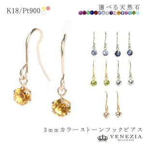 yΉixƓjzIׂ tbNsAX sAX K18 Pt900 pieni sGj [cseg0016] 18k 18 VR EhJbg ^UiCg r[ Tt@CA AWXg ACICg N