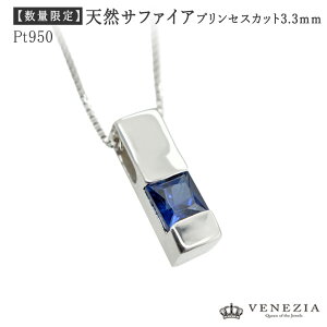 Pt950 vZXJbg u[Tt@CA y_g iۏ؏t v`i Tt@C ꗱ [sapp0001] lbNX a 9 fB[X WG[