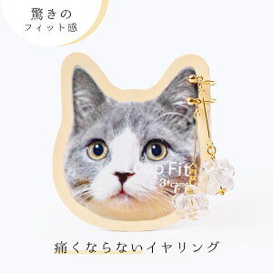 CO [vtBbg ɂȂ ɂȂɂ  Vv O XCO^Cv mz[sAX mz[ jbPt[ AM[Ή y  { i lC 