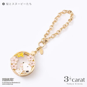 PEANUTS ߂[y g勾  [y obO`[ {3{ XCh 莝 obO Xk[s[ EbhXgbN fCW[   KN lC 킢 i GKg fB[X