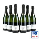 【高品質スパークリングワイン】カヴァ 6本セット ドミニオ デ ロス デュケス カヴァ BRUT 750ml 6本セット CAVA スパークリングワイン シャンパン 製法 ワイン セット 瓶内二次 発酵 高品質 スペイン 辛口 格安 美味しい 安旨 春 ギフト グルメ お祝い 内祝い パーティ