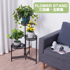 y݌Ɉ|IzWisfor t[X^h ԑ ACA 3i AeB[N ܂肽ݎ  /O /x_ ^ X  u |bN K[fjObN v^[