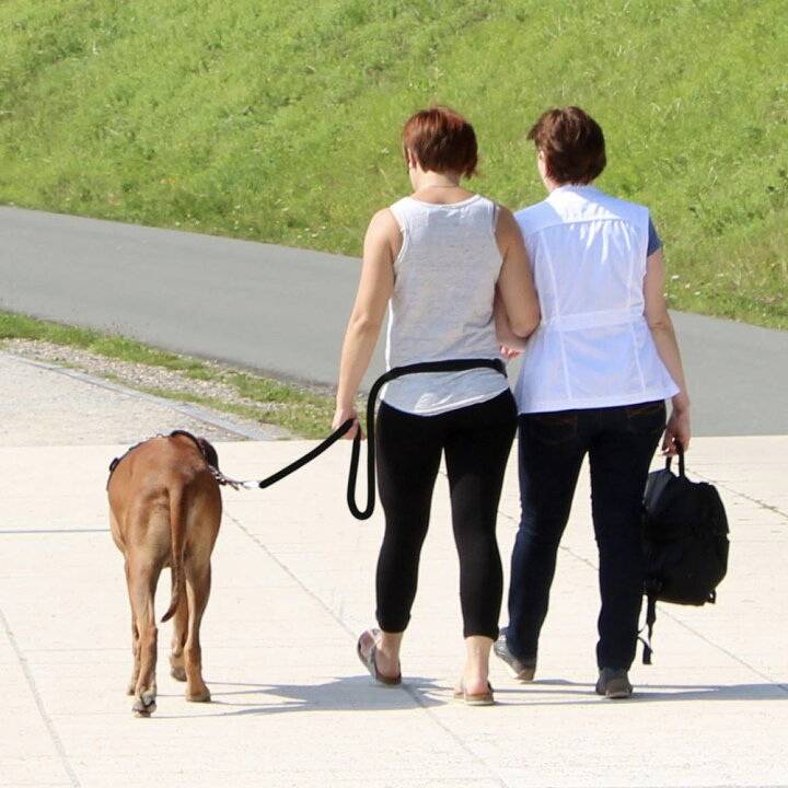楽天市場】Wisfor 犬用リード ショルダーリード 犬 肩掛け ハンズ 